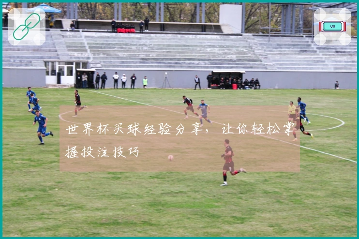 世界杯买球经验分享，让你轻松掌握投注技巧