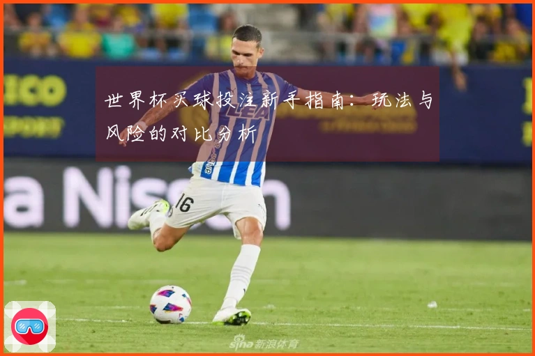 世界杯买球投注新手指南:玩法与风险的对比分析