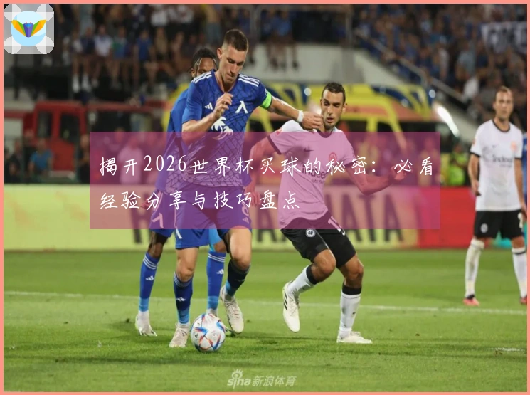 揭开2026世界杯买球的秘密:必看经验分享与技巧盘点